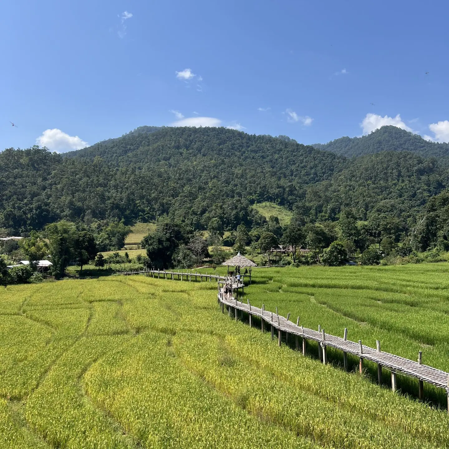 2 weeks in the north of Thailand