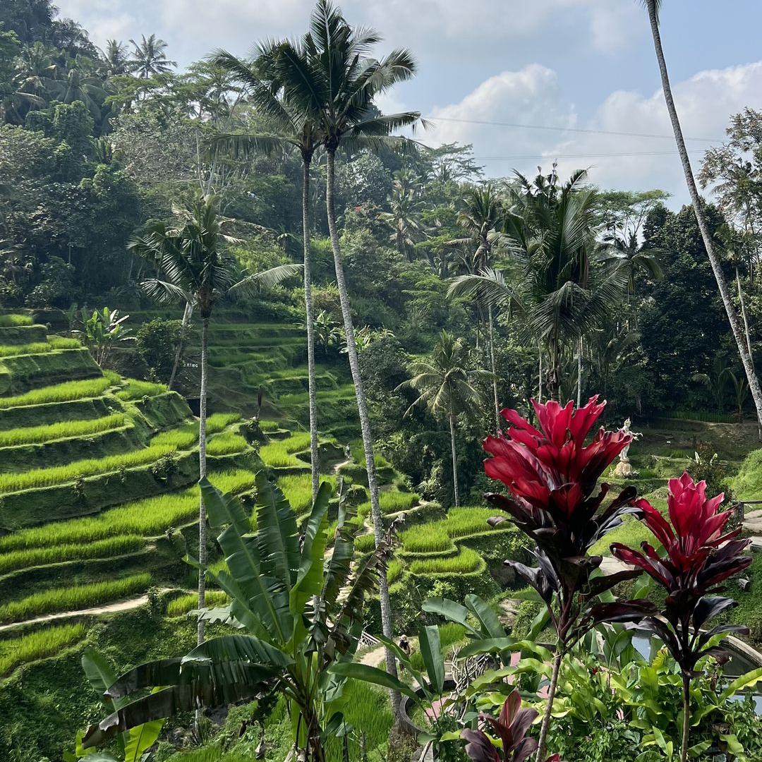3 weeks in Indonesia