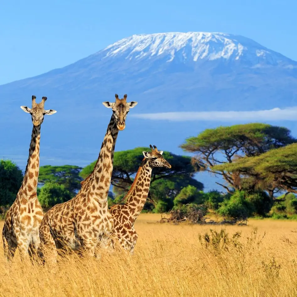 Tanzania & Zanzibar