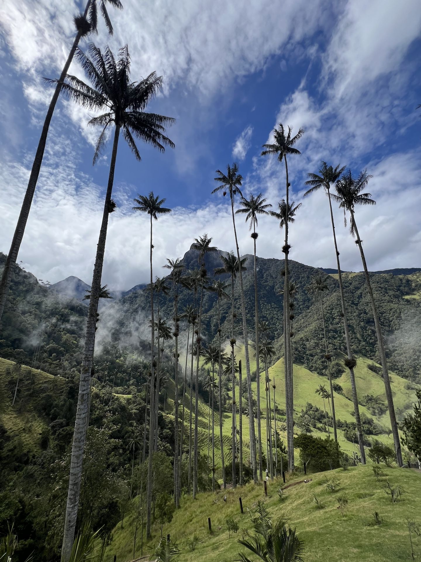 2 weeks in Colombia — travel photo 3